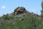 PICTURES/Capulin Volcano National Monument - New Mexico/t_Boca Trail - Vulture.JPG
